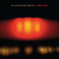 Виниловая пластинка WILLIAM ORBIT / MY ORACLE LIVES UPTOWN (2LP)